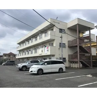 ベルメゾン緑の画像