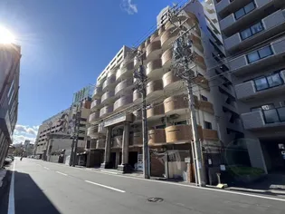 岩井橋ロイヤルハイツ【9階】の外観