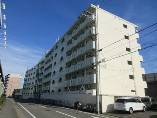 露橋ロイヤルハイツIIの画像