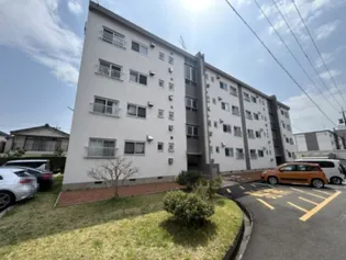 天白第一住宅11号棟の画像