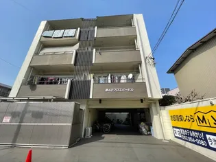 第42プロスパーの画像