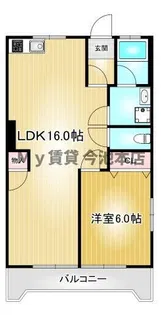 メゾンハヤシ【3階】の間取り