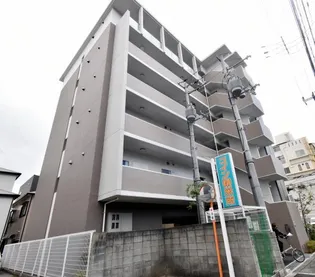 サンステラの画像