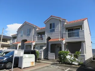 サニーセレーノの画像