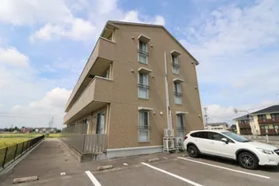 チューリップ フィールドの画像