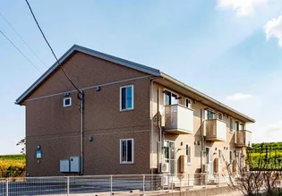 アコアカットの画像