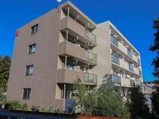 MAISON DE OLIVEの画像