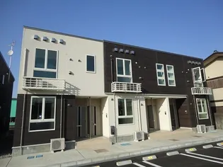 パイシス Bの画像