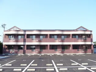 サイネリアーKIの画像