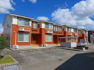 チューリップ 12の画像