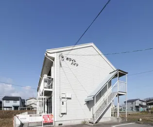 ホワイトハイツの画像