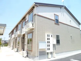 ファイン フォルティスの画像