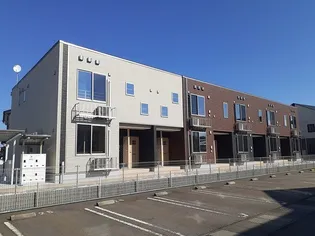 スプリング ファインIIの画像