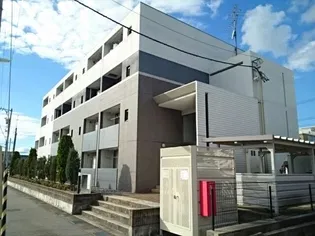 ノーブル カメリアの画像