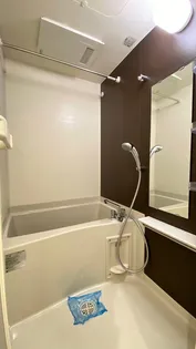 Beverly Homes 下赤塚【5階】の風呂