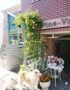 パインビレッジの画像