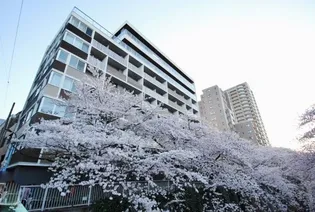 アールコート早稲田の画像