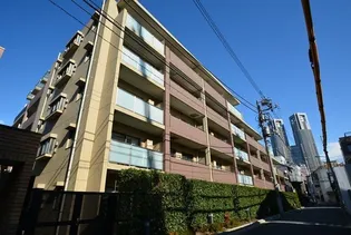 メゾンカルム西新宿【5階】の外観