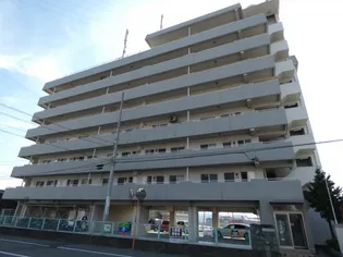 ヒューマンスペースIIの画像