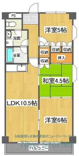 第19柴田マンション【5階】の間取り
