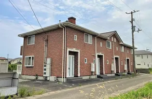 ダンデライオンの画像