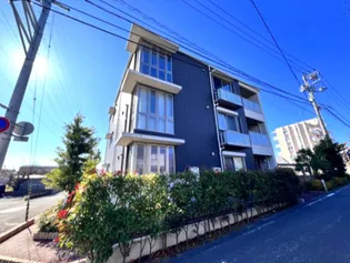 ベレオユトリアの画像