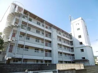 ハニーハイツの画像