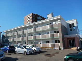 NESTスエヒロの画像