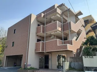 ファイン グランデの画像