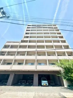 チェルトヴィータ【11階】の外観