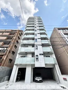 the platinum【9階】の外観