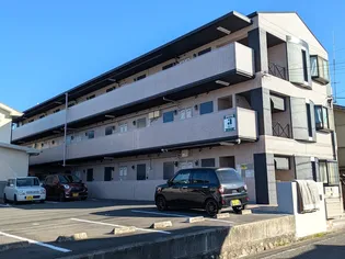 ミラハイツ枝松【310号室】の外観