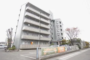 ナチュラルリーフ松山【406号室】の外観
