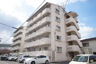 ベルメゾン古川1【501号室】の外観