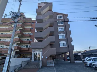 シェレナ辻町【509号室】の外観
