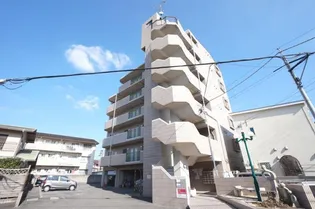 ドミールS【501号室】の外観