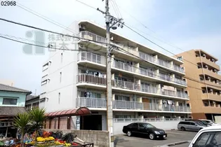 セントポーリア山越の画像