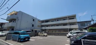 シェレナ衣山の画像