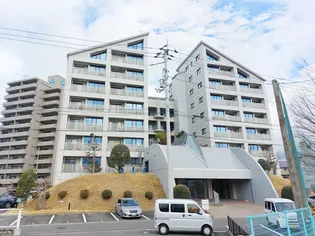 エル ミオーレ朝生田の画像