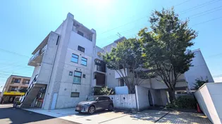 ネバーランドの画像