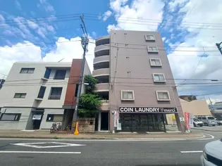 メルシーコート柳井町【501号室】の外観