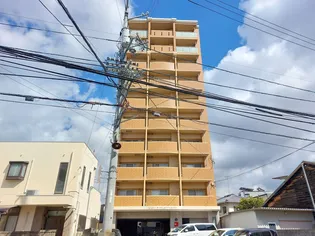 シャトー・ド・フェニックス永木町【901号室】の外観
