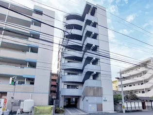 ブラッサム ユーの画像