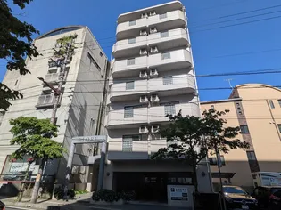 フィオーレ松山【301号室】の外観