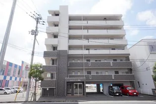 ルネッサンス枝松の画像