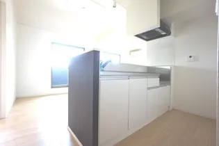 メリーゲート K【201号室】のキッチン