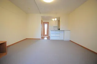 レオパレス蒼 1【206号室】の居間