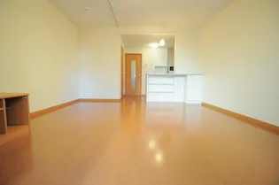 レオパレス蒼 1【206号室】の内装