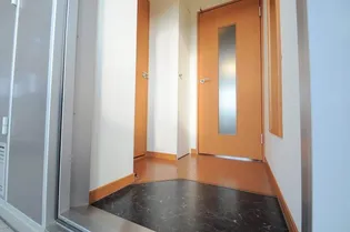 レオパレス蒼 1【206号室】の玄関