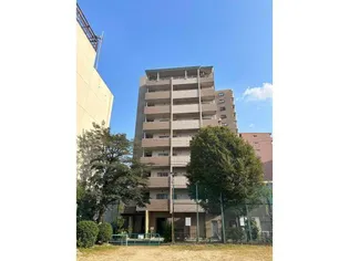 ファインコートの画像